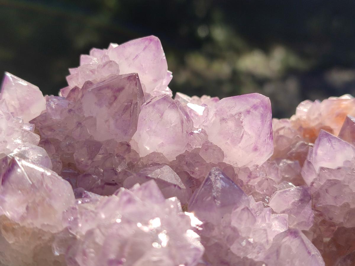 Natural Large Cabinet Size Spirit Amethyst Cluster x 1 From Boekenhouthoek, South Africa