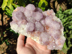 Natural Large Cabinet Size Spirit Amethyst Cluster x 1 From Boekenhouthoek, South Africa - Toprock Gemstones and Minerals 
