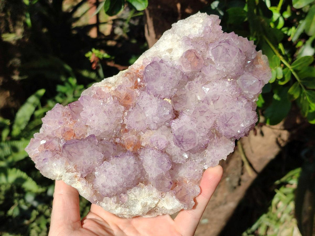 Natural Large Cabinet Size Spirit Amethyst Cluster x 1 From Boekenhouthoek, South Africa - Toprock Gemstones and Minerals 