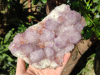 Natural Large Cabinet Size Spirit Amethyst Cluster x 1 From Boekenhouthoek, South Africa - Toprock Gemstones and Minerals 