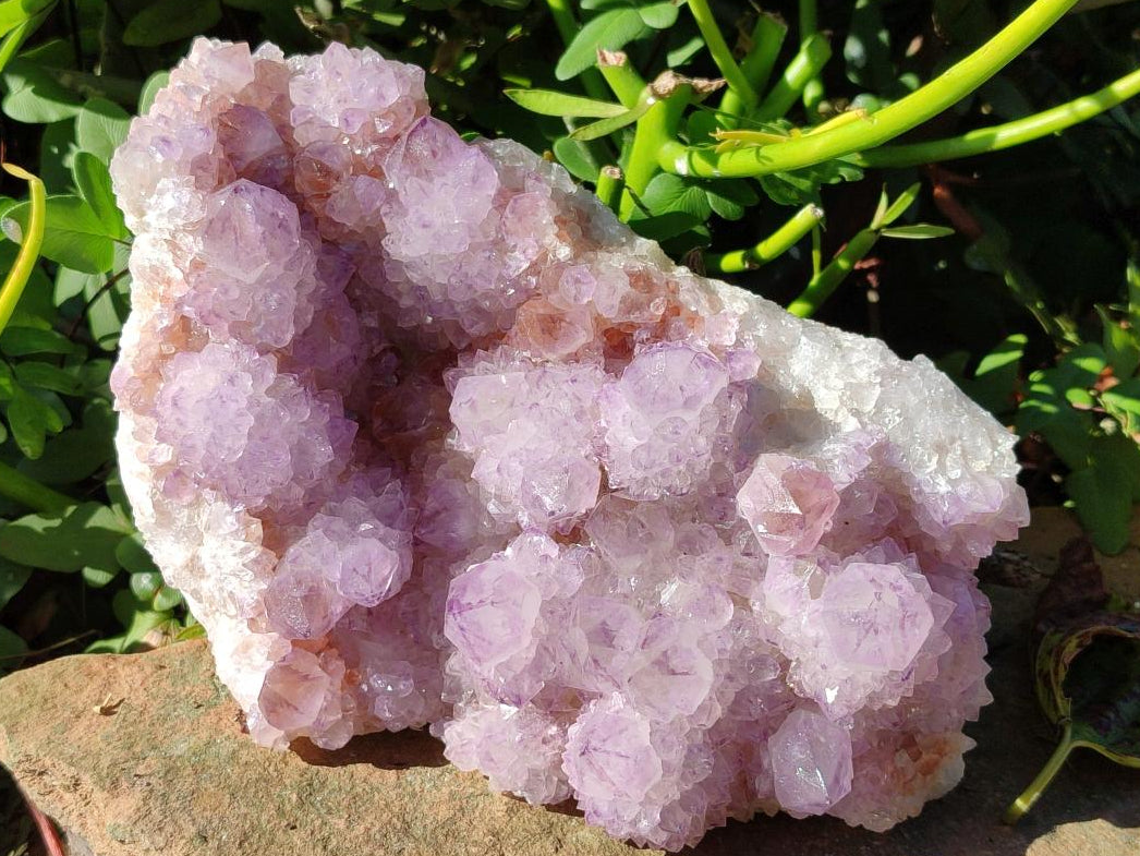 Natural Large Cabinet Size Spirit Amethyst Cluster x 1 From Boekenhouthoek, South Africa