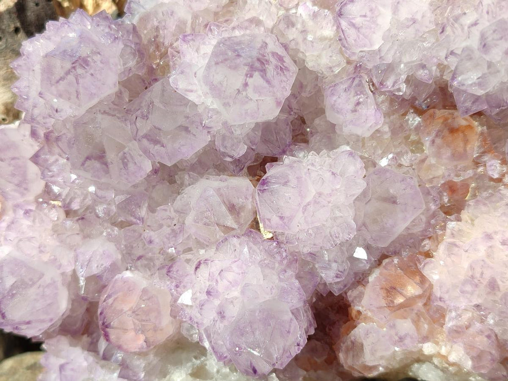 Natural Large Cabinet Size Spirit Amethyst Cluster x 1 From Boekenhouthoek, South Africa - Toprock Gemstones and Minerals 
