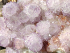 Natural Large Cabinet Size Spirit Amethyst Cluster x 1 From Boekenhouthoek, South Africa - Toprock Gemstones and Minerals 