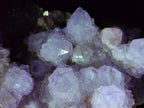 Natural Large Cabinet Size Spirit Amethyst Cluster x 1 From Boekenhouthoek, South Africa - Toprock Gemstones and Minerals 