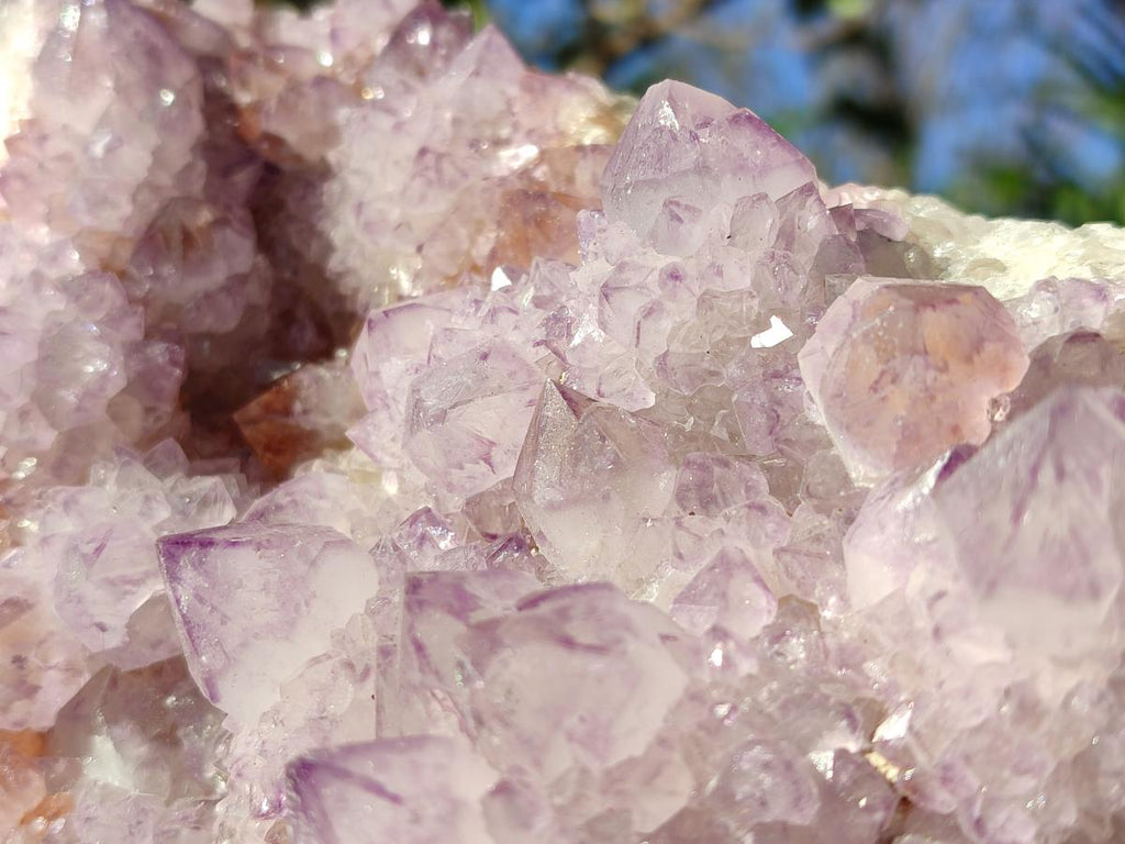 Natural Large Cabinet Size Spirit Amethyst Cluster x 1 From Boekenhouthoek, South Africa - Toprock Gemstones and Minerals 