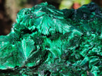 Natural Cabinet Silky Malachite Specimens x 2 From Kasompe, Congo - Toprock Gemstones and Minerals 