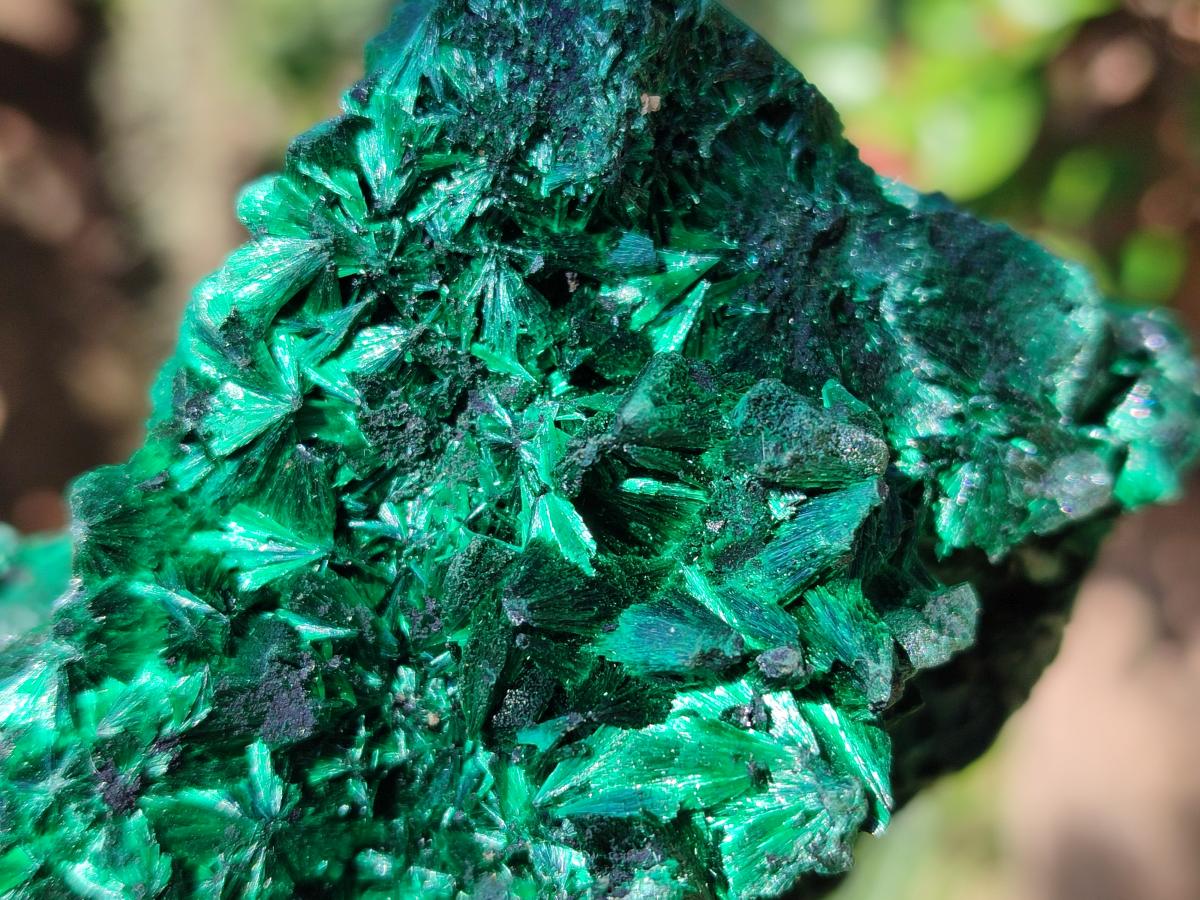 Natural Cabinet Silky Malachite Specimens x 2 From Kasompe, Congo