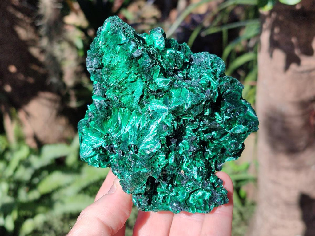 Natural Cabinet Silky Malachite Specimens x 2 From Kasompe, Congo - Toprock Gemstones and Minerals 