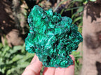 Natural Cabinet Silky Malachite Specimens x 2 From Kasompe, Congo - Toprock Gemstones and Minerals 