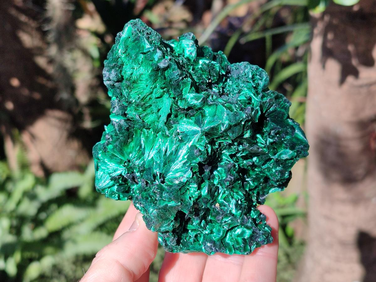 Natural Cabinet Silky Malachite Specimens x 2 From Kasompe, Congo - Toprock Gemstones and Minerals 