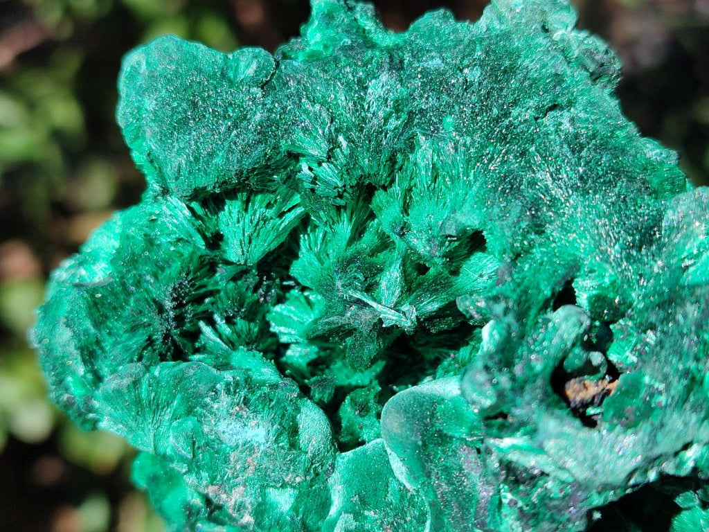 Natural Cabinet Silky Malachite Specimens x 2 From Kasompe, Congo - Toprock Gemstones and Minerals 