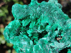 Natural Cabinet Silky Malachite Specimens x 2 From Kasompe, Congo - Toprock Gemstones and Minerals 