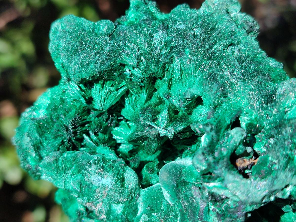 Natural Cabinet Silky Malachite Specimens x 2 From Kasompe, Congo - Toprock Gemstones and Minerals 