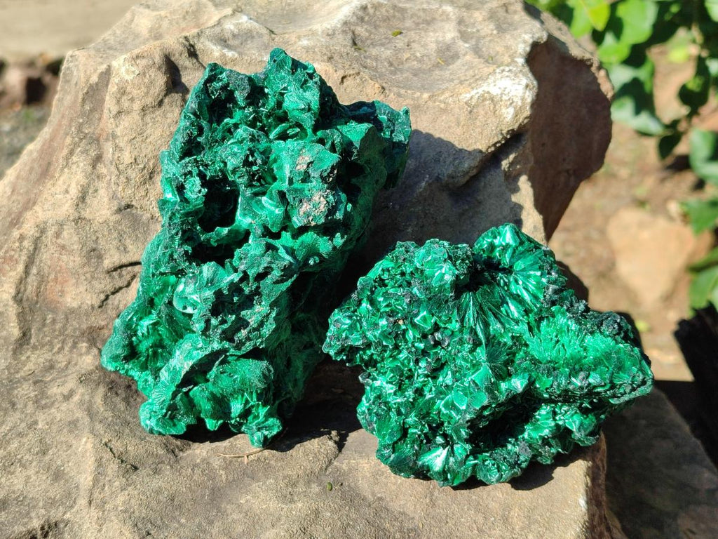Natural Cabinet Silky Malachite Specimens x 2 From Kasompe, Congo - Toprock Gemstones and Minerals 