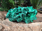 Natural Cabinet Silky Malachite Specimens x 2 From Kasompe, Congo - Toprock Gemstones and Minerals 