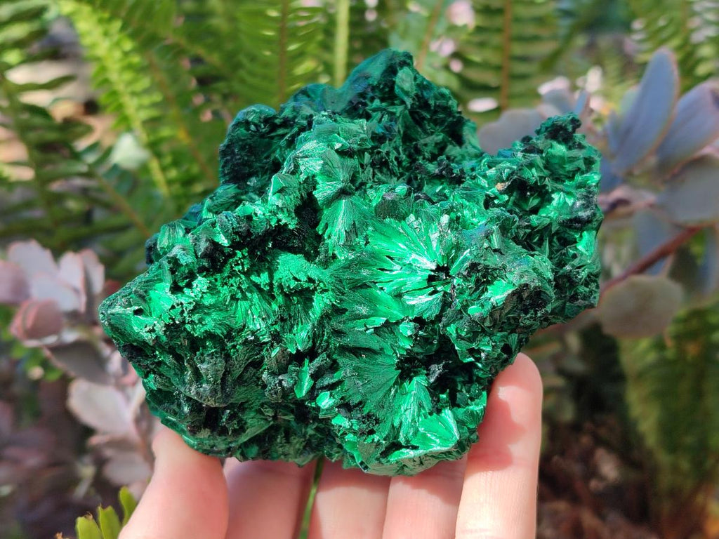Natural Cabinet Silky Malachite Specimens x 2 From Kasompe, Congo - Toprock Gemstones and Minerals 