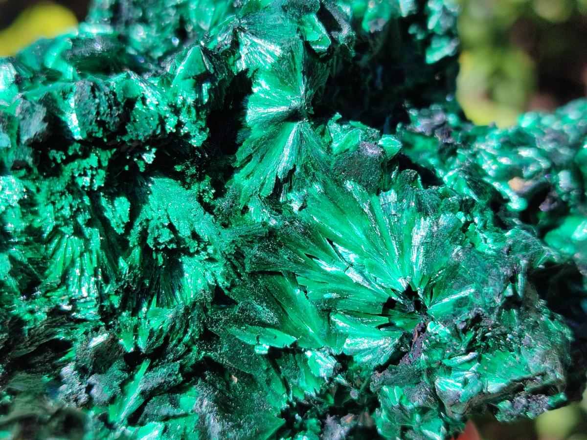 Natural Cabinet Silky Malachite Specimens x 2 From Kasompe, Congo
