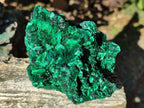 Natural Cabinet Silky Malachite Specimens x 2 From Kasompe, Congo - Toprock Gemstones and Minerals 
