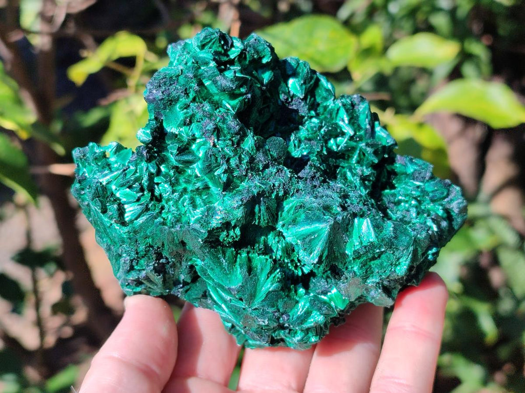 Natural Cabinet Silky Malachite Specimens x 2 From Kasompe, Congo - Toprock Gemstones and Minerals 