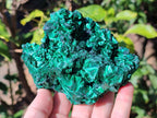 Natural Cabinet Silky Malachite Specimens x 2 From Kasompe, Congo - Toprock Gemstones and Minerals 
