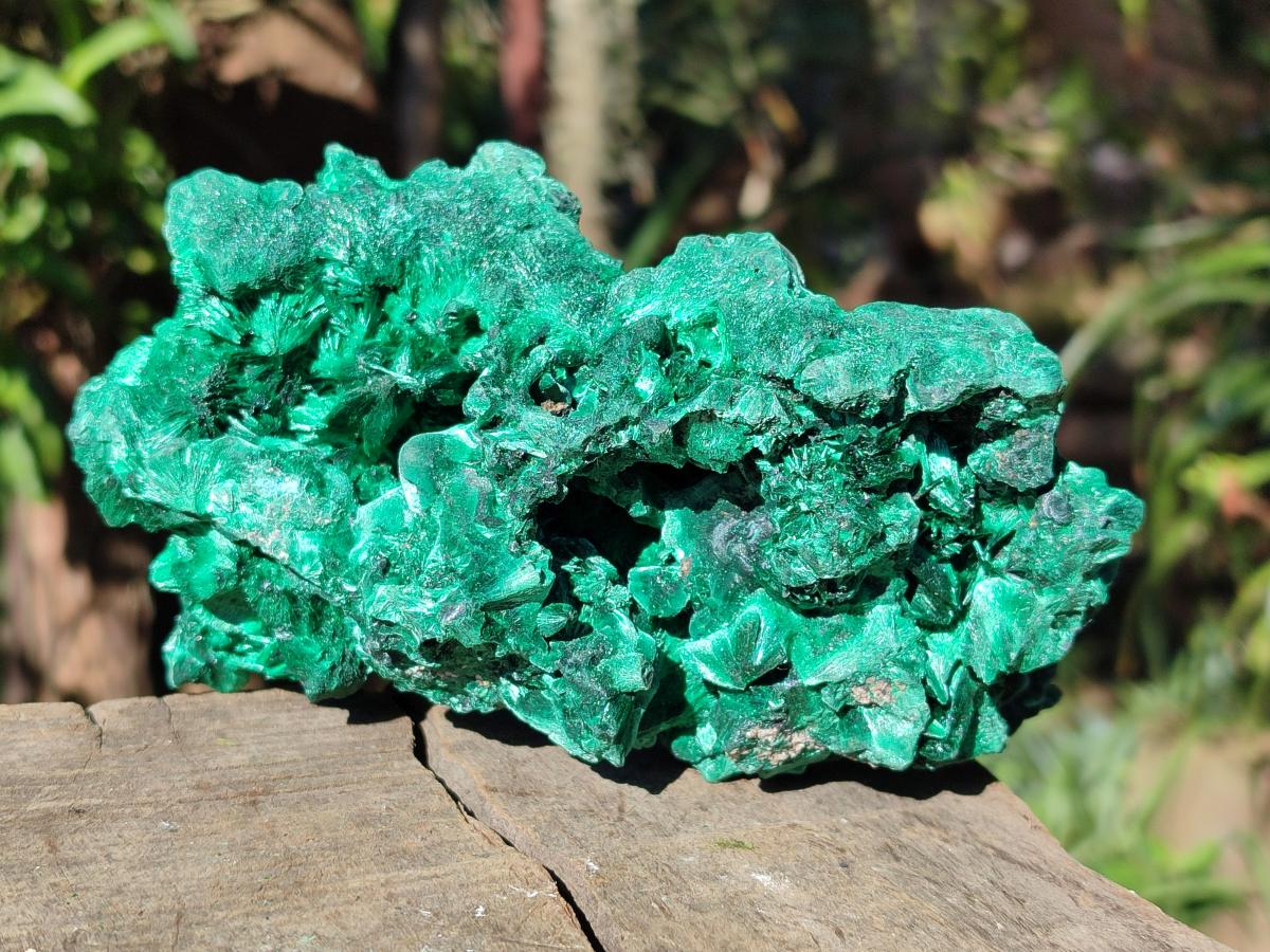 Natural Cabinet Silky Malachite Specimens x 2 From Kasompe, Congo - Toprock Gemstones and Minerals 