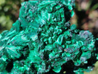 Natural Cabinet Silky Malachite Specimens x 2 From Kasompe, Congo - Toprock Gemstones and Minerals 