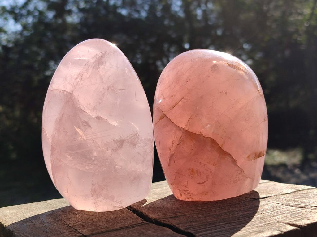 Polished Gemmy Rose Quartz Standing Display Pieces x 2 From Madagascar - Toprock Gemstones and Minerals 