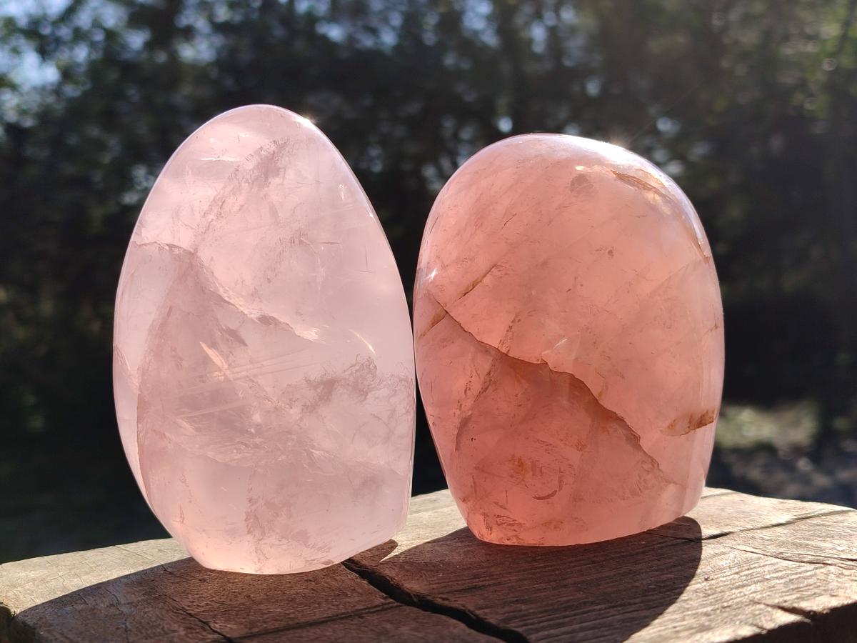 Polished Gemmy Rose Quartz Standing Display Pieces x 2 From Madagascar - Toprock Gemstones and Minerals 