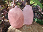 Polished Gemmy Rose Quartz Standing Display Pieces x 2 From Madagascar - Toprock Gemstones and Minerals 