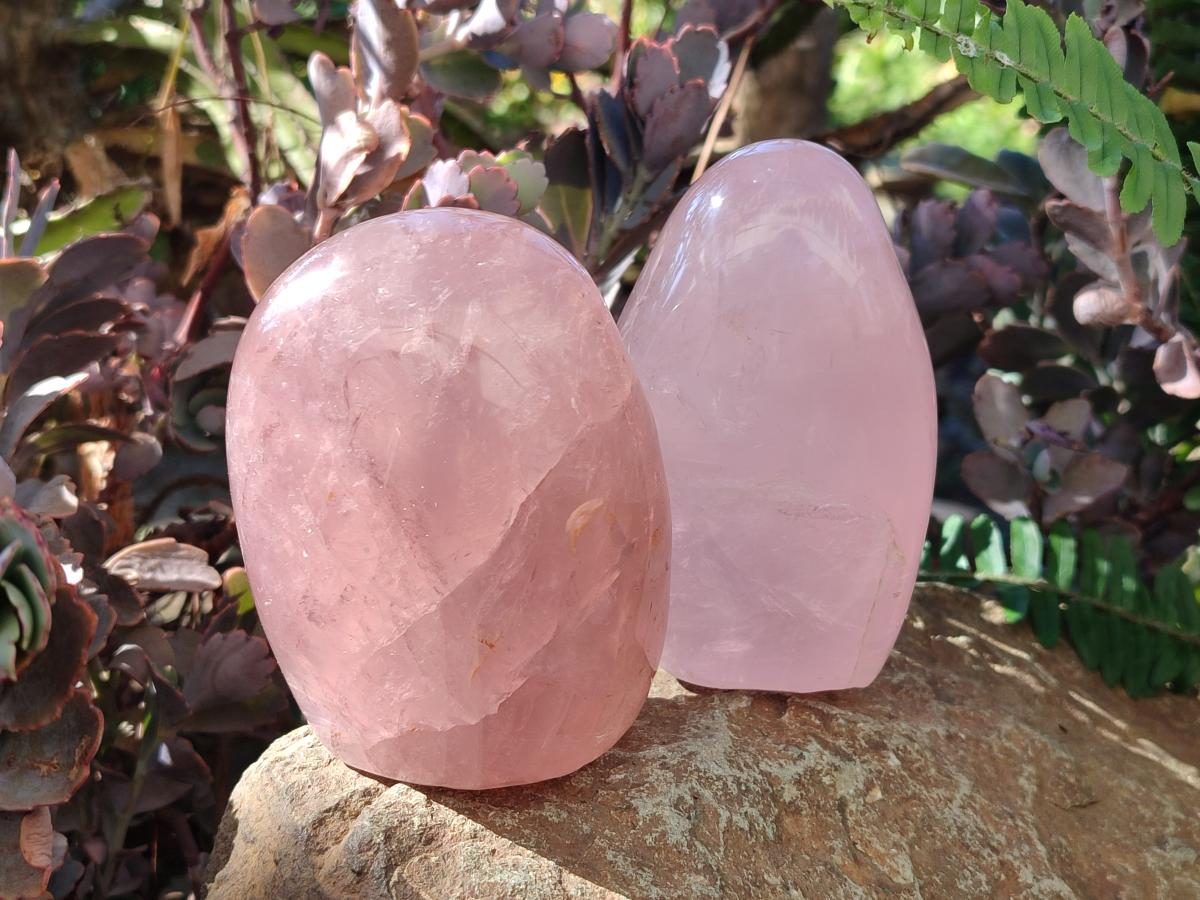 Polished Gemmy Rose Quartz Standing Display Pieces x 2 From Madagascar - Toprock Gemstones and Minerals 