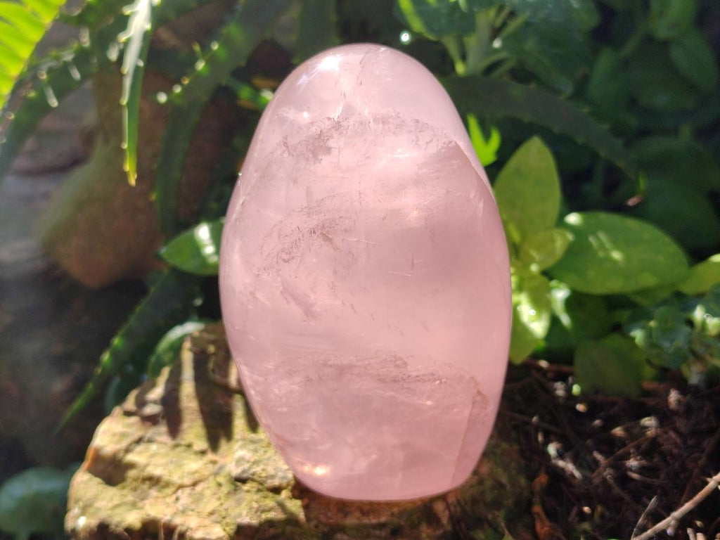 Polished Gemmy Rose Quartz Standing Display Pieces x 2 From Madagascar - Toprock Gemstones and Minerals 