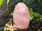 Polished Gemmy Rose Quartz Standing Display Pieces x 2 From Madagascar - Toprock Gemstones and Minerals 