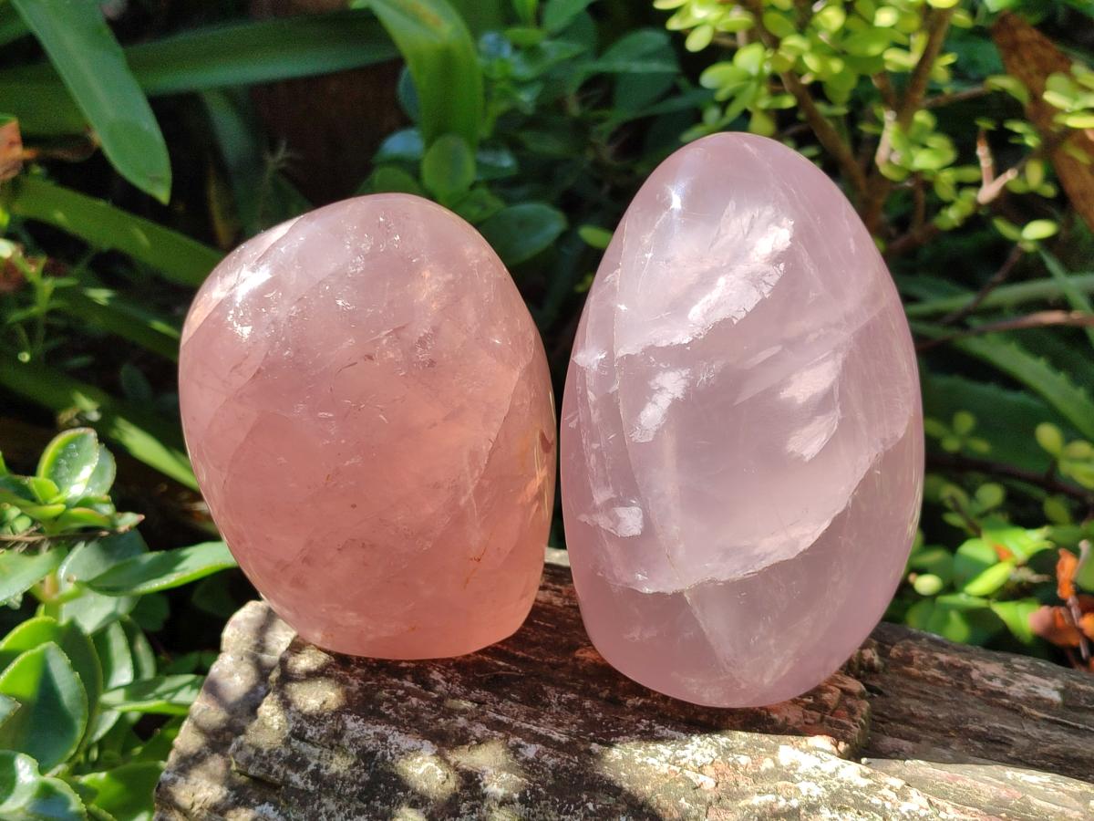 Polished Gemmy Rose Quartz Standing Display Pieces x 2 From Madagascar