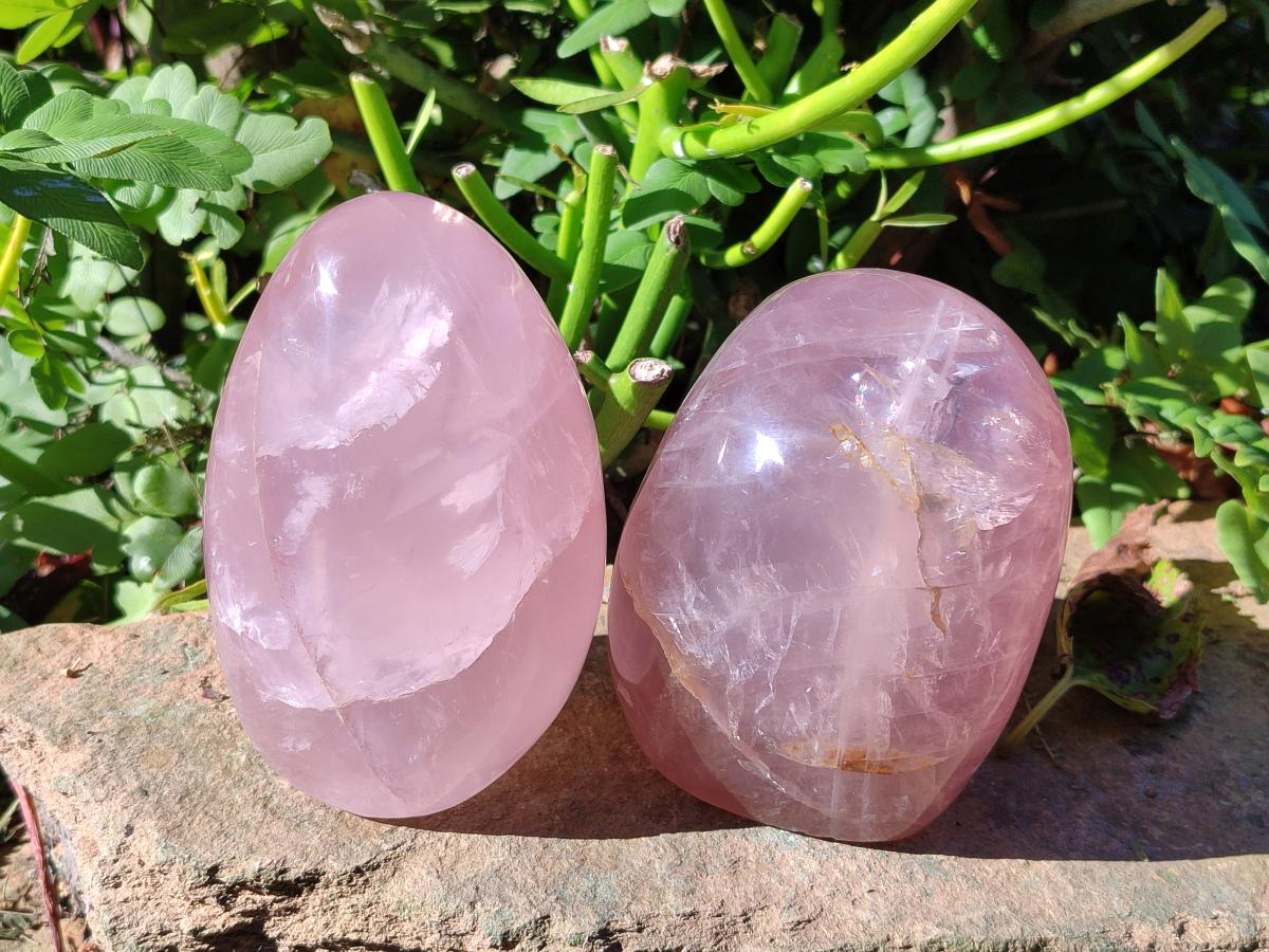 Polished Gemmy Rose Quartz Standing Display Pieces x 2 From Madagascar - Toprock Gemstones and Minerals 
