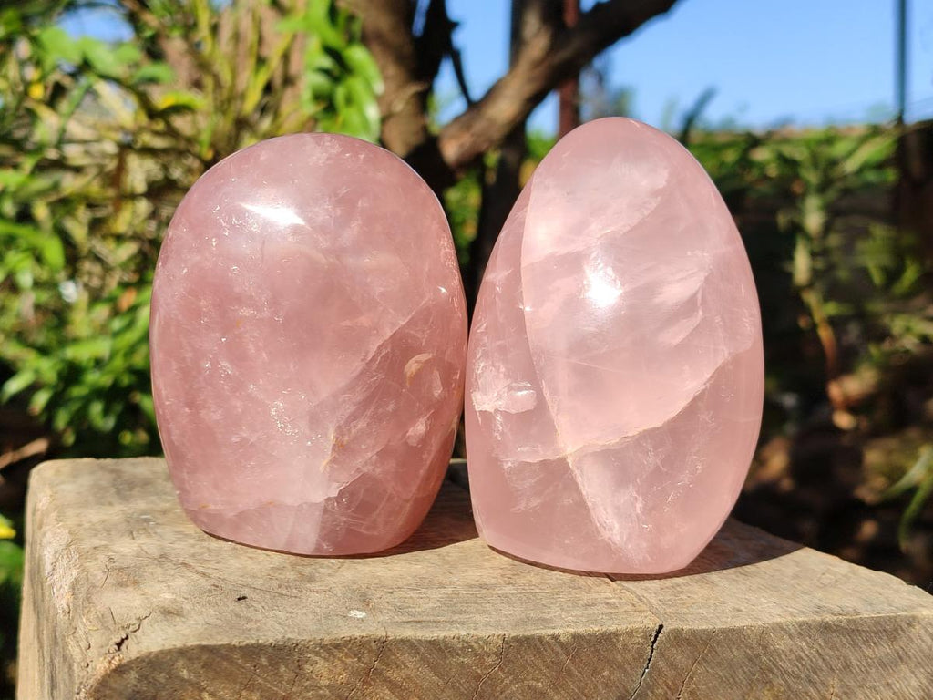 Polished Gemmy Rose Quartz Standing Display Pieces x 2 From Madagascar - Toprock Gemstones and Minerals 