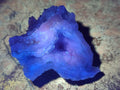 Natural Etched Blue Chalcedony Geode Specimens x 12 From Nsanje, Malawi - Toprock Gemstones and Minerals 