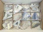 Natural Etched Blue Chalcedony Geode Specimens x 12 From Nsanje, Malawi - Toprock Gemstones and Minerals 
