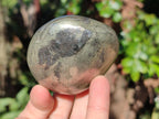 Polished Basalt Pharaoh Stone Free Forms x 6 From Iron Duke Mine, Zimbabwe - Toprock Gemstones and Minerals 