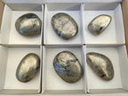 Polished Basalt Pharaoh Stone Free Forms x 6 From Iron Duke Mine, Zimbabwe - Toprock Gemstones and Minerals 