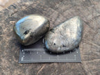 Polished Basalt Pharaoh Stone Free Forms x 6 From Iron Duke Mine, Zimbabwe - Toprock Gemstones and Minerals 
