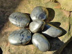 Polished Basalt Pharaoh Stone Free Forms x 6 From Iron Duke Mine, Zimbabwe - Toprock Gemstones and Minerals 