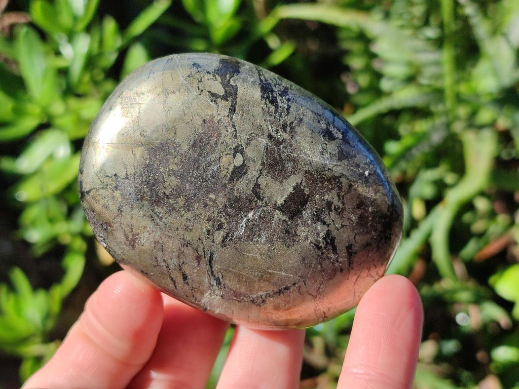 Polished Basalt Pharaoh Stone Free Forms x 6 From Iron Duke Mine, Zimbabwe - Toprock Gemstones and Minerals 