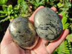 Polished Basalt Pharaoh Stone Free Forms x 6 From Iron Duke Mine, Zimbabwe - Toprock Gemstones and Minerals 