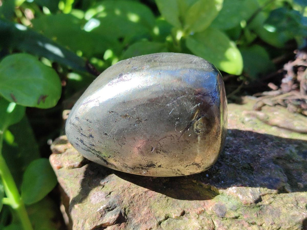 Polished Basalt Pharaoh Stone Free Forms x 6 From Iron Duke Mine, Zimbabwe - Toprock Gemstones and Minerals 