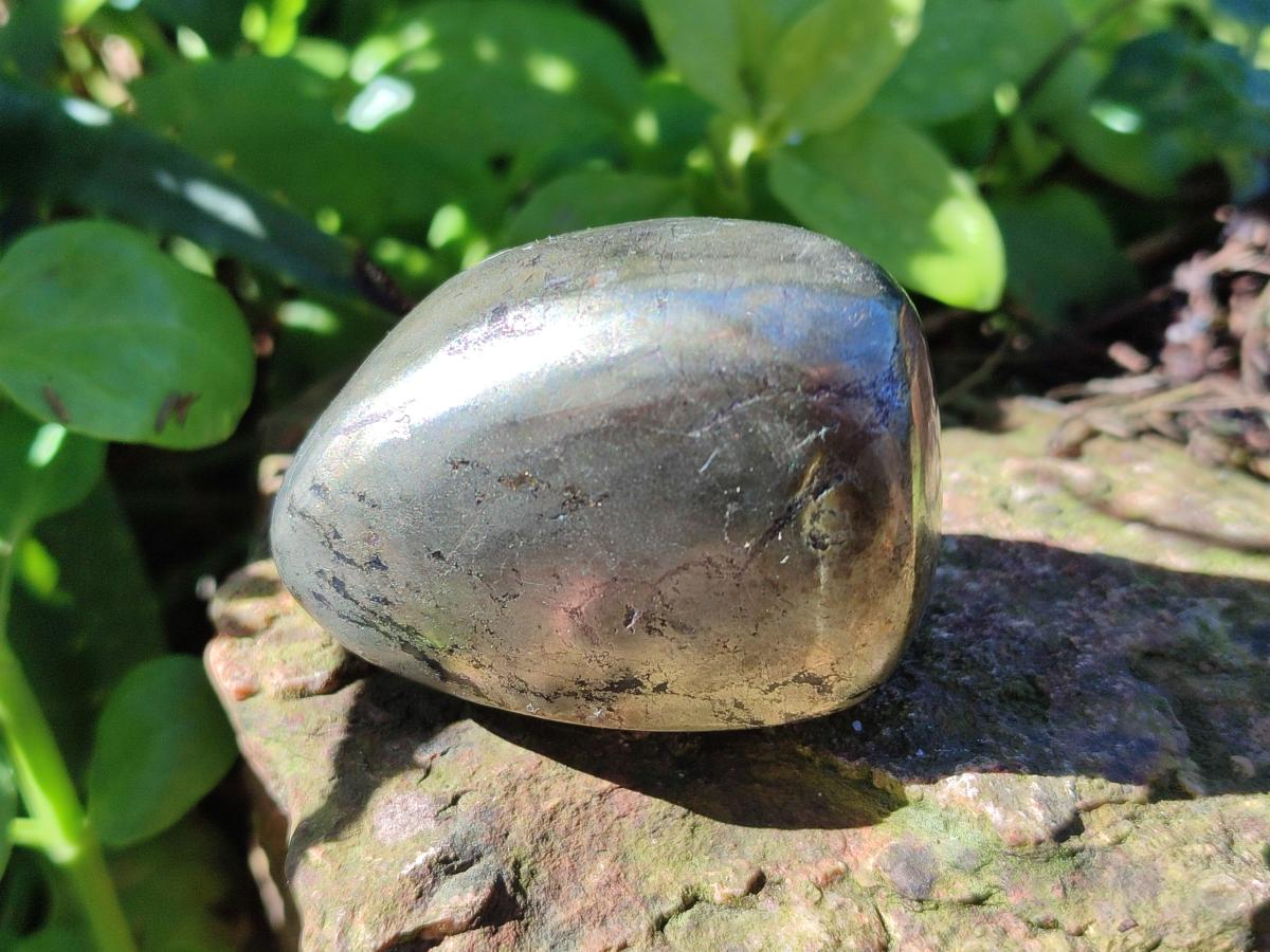 Polished Basalt Pharaoh Stone Free Forms x 6 From Iron Duke Mine, Zimbabwe - Toprock Gemstones and Minerals 