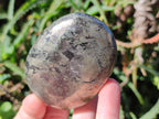 Polished Basalt Pharaoh Stone Free Forms x 6 From Iron Duke Mine, Zimbabwe - Toprock Gemstones and Minerals 