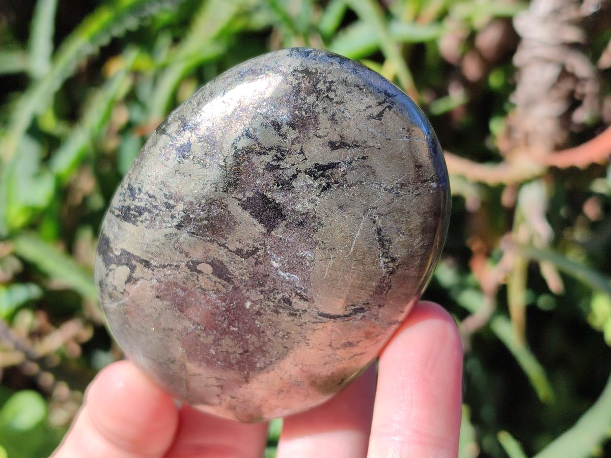 Polished Basalt Pharaoh Stone Free Forms x 6 From Iron Duke Mine, Zimbabwe - Toprock Gemstones and Minerals 
