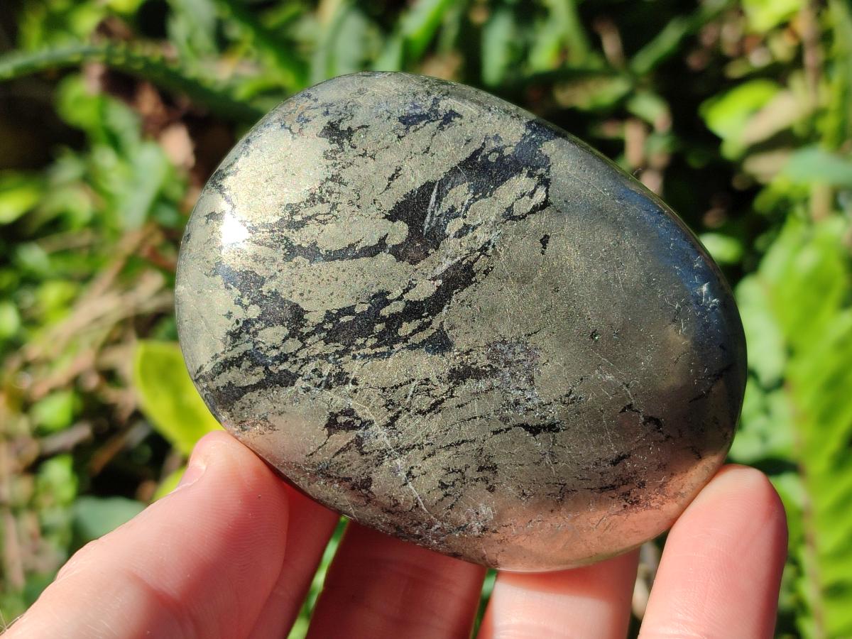 Polished Basalt Pharaoh Stone Free Forms x 6 From Iron Duke Mine, Zimbabwe