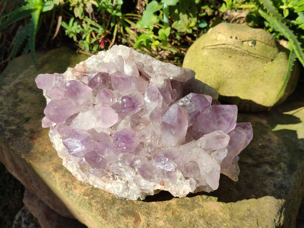 Natural Large Jacaranda Amethyst Crystal Cluster x 1 From Mumbwa, Zambia - Toprock Gemstones and Minerals 