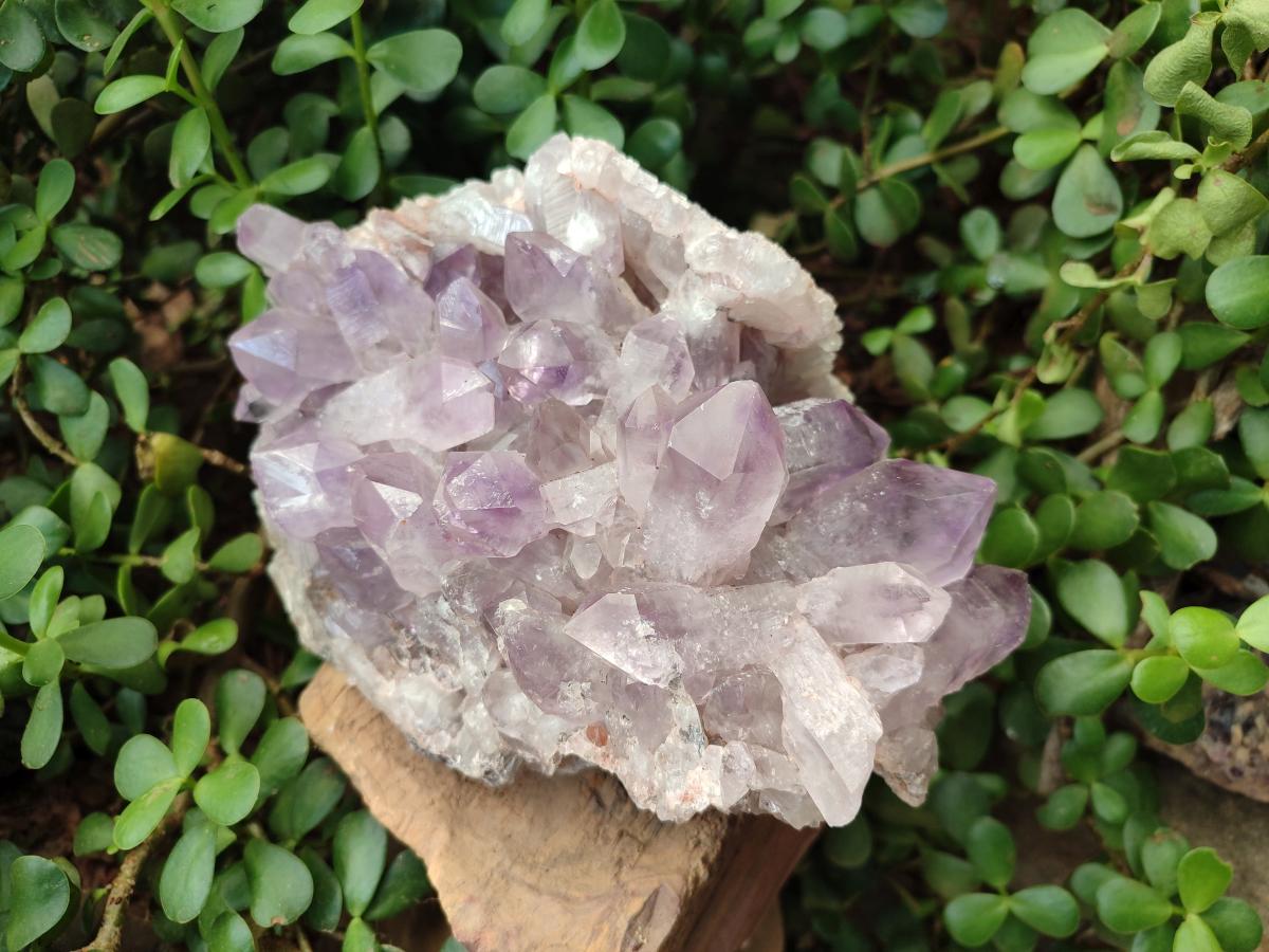 Natural Large Jacaranda Amethyst Crystal Cluster x 1 From Mumbwa, Zambia - Toprock Gemstones and Minerals 